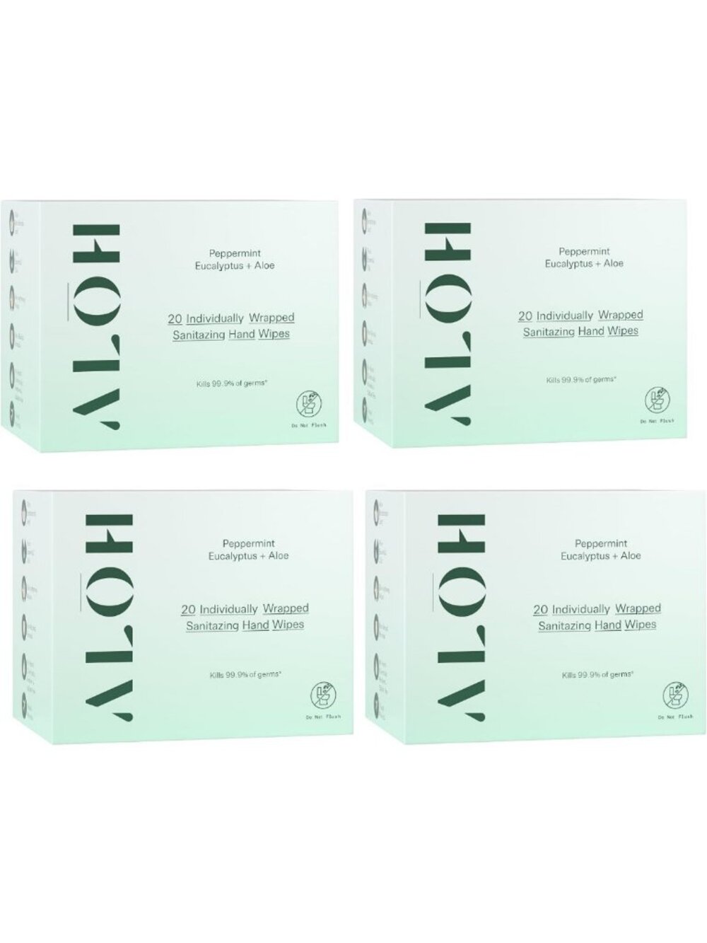 Peppermint Eucalyptus Aloe Hand Sanitizer Wipes - Individually Wrapped, Travel